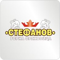 Лого на Stefanov — клиент на СЕДЕМ